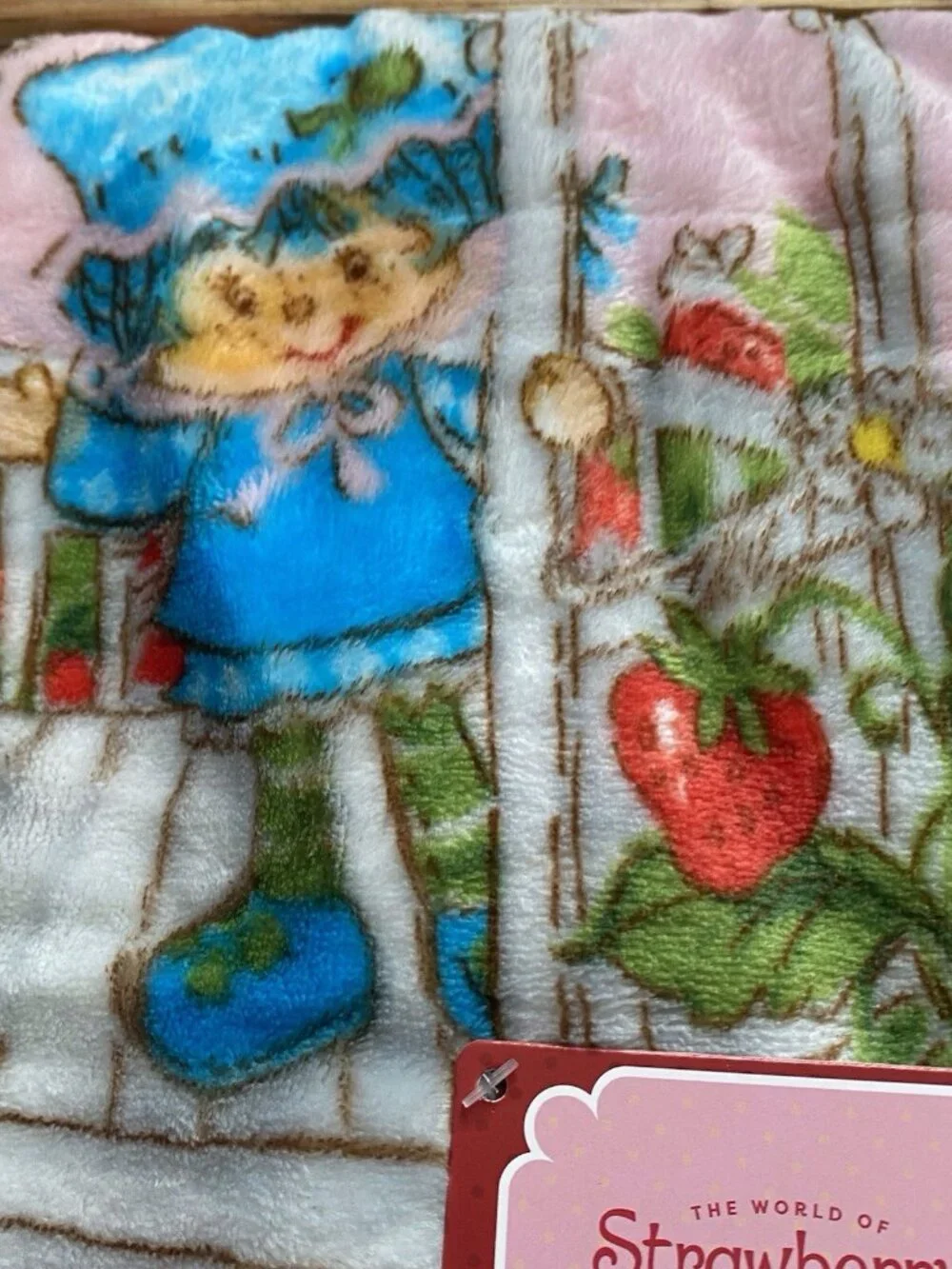 Strawberry Shortcake & Friends 50” X 70”‎ Soft Plush Soft Throw Blanket Pink NEW